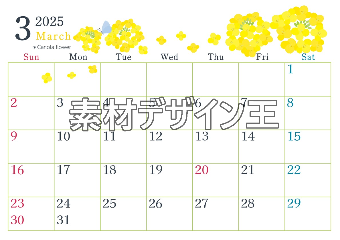 2025年3月横型の日曜始まり 菜の花イラストのかわいいA4無料カレンダー