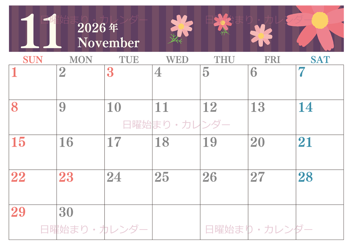 2026年11月横型の日曜始まり 秋桜イラストのおしゃれA4無料カレンダー