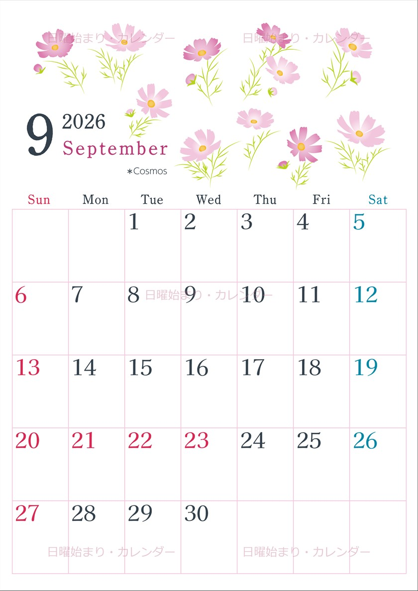 2026年9月縦型の日曜始まり コスモスがかわいいイラストA4無料カレンダー