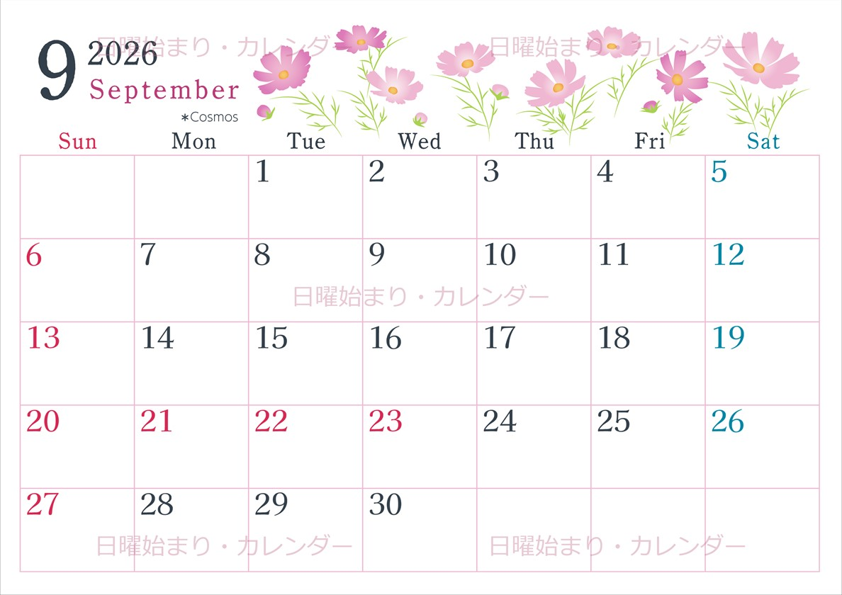 2026年9月横型の日曜始まり コスモスがかわいいイラストA4無料カレンダー