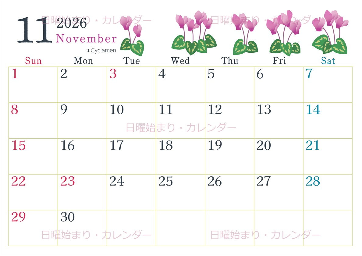 2026年11月横型の日曜始まり シクラメンがかわいいイラストA4無料カレンダー